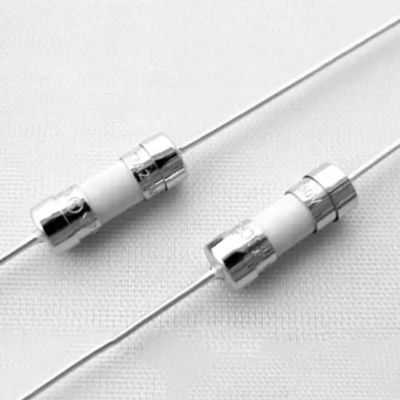 12-250V Transformer Bayonet Fuse Lage Spanning 6x30mm Glasbuis Fuse Holder 15MM Fast-Blow Glass Fuse